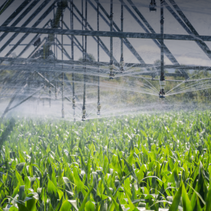 Seracılık ve Tarım